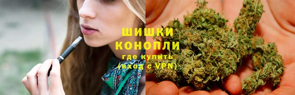 индика Яровое