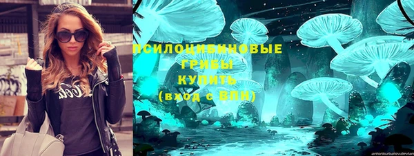 индика Яровое