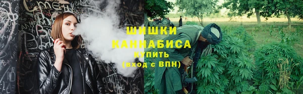 индика Яровое