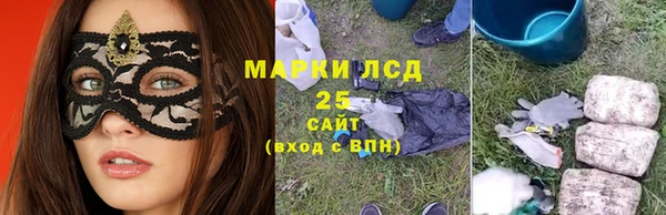 прущие крисы Яранск