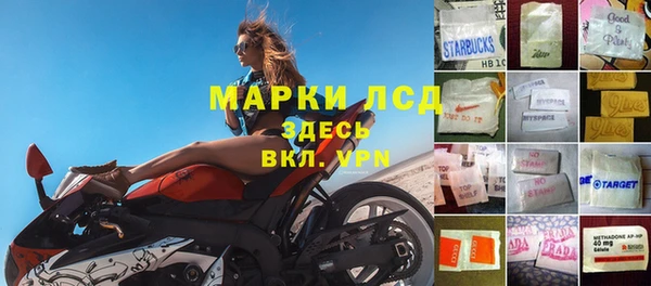 PSILOCYBIN Приозерск