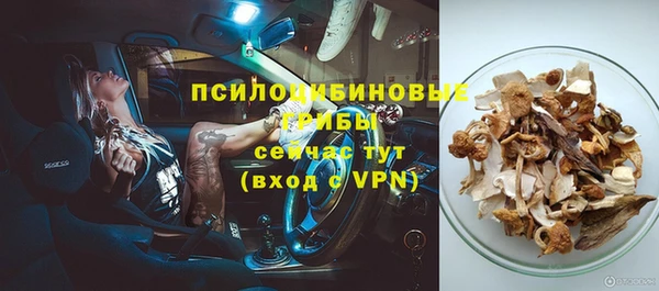 прущие крисы Яранск